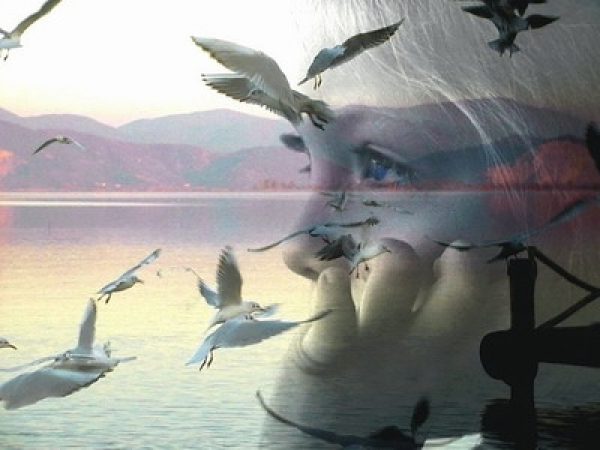 اجمل 38 جمله في العالم