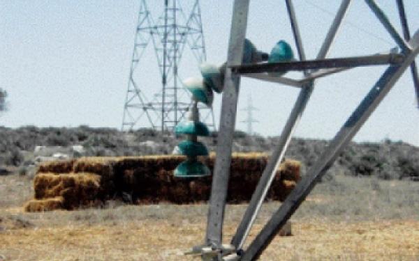 عصابات السطو على الأسلاك الكهربائية تضرب بقوة ببني مغيث والمنصورية 