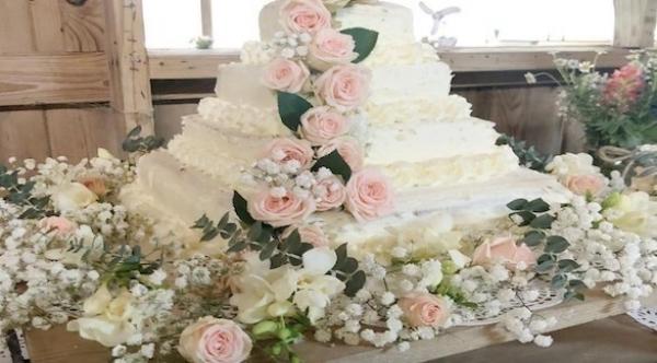زوجان يبتكران حيلة ذكية  للحصول على كعكة زفاف رخيصة