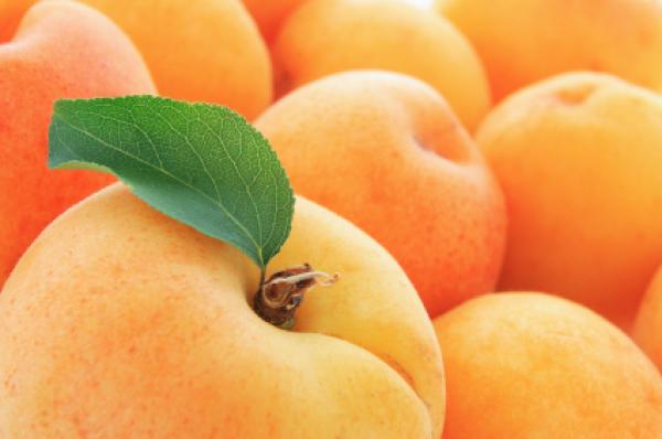 المشمش غني بالعناصر والاملاح