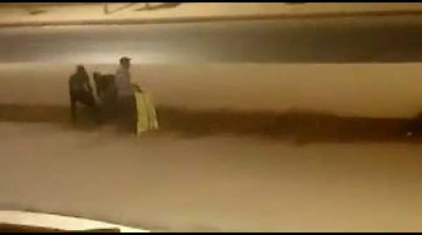 لصوص يسرقون الأغراس التي قامت بغرسها جماعة سلا حديثا بشارع ابن الهيثم