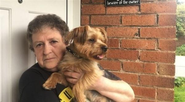 ستينية بريطانية تطالب مجلس المدينة بالتحقيق في ضوضاء غامضة حرمتها من النوم تسعة أشهر