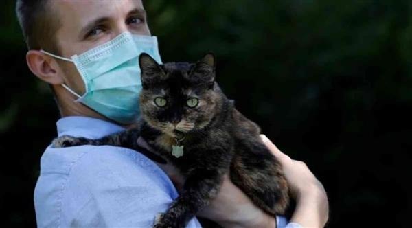دراسة: الإنسان قد يتسبب في نقل العدوى كورونا للقطط والكلاب