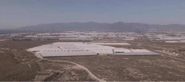 ألميريا الإسبانية: منطقة زراعية تسبب كارثة بيئية!!