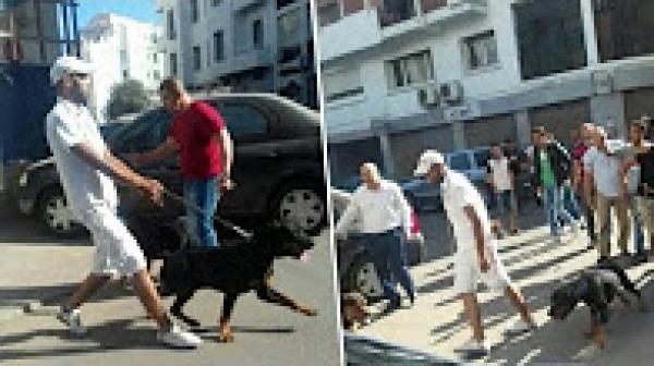 الكلاب لتفريق مؤتمر لحزب الاستقلال تعرضت فيه منسقته بكازا ياسمينة بادو لاعتداء