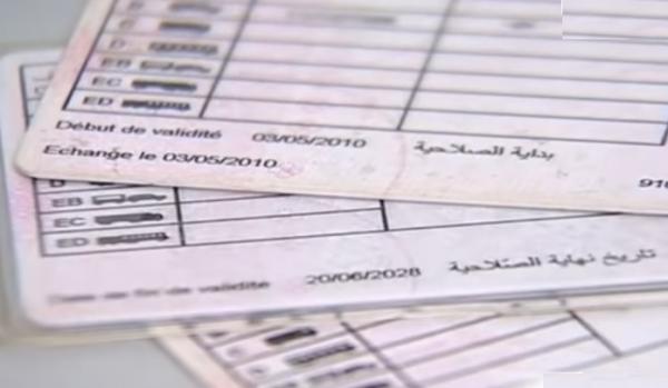 هل تجديد رخصة السياقة كل عشر سنوات إجباري؟  إليكم الجواب في الفيديو التالي