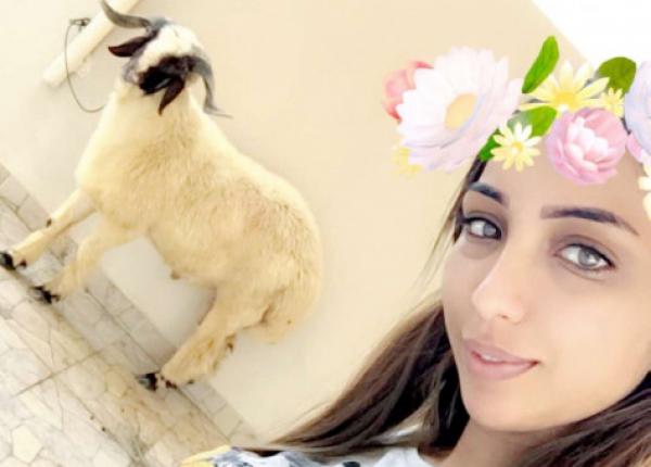 دنيا باطمة كاعية: الحوالة في البحرين صغيورين ماشي بحال المغرب