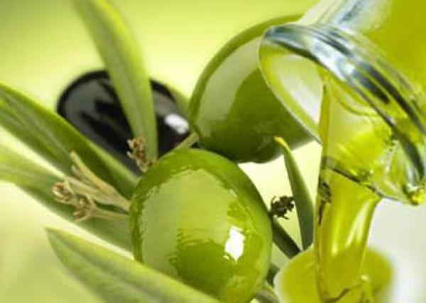 زيت الزيتون يحمي الكبد من الضرر