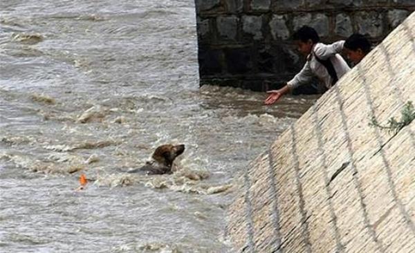 مات أثناء محاولته إنقاذ كلب من الغرق