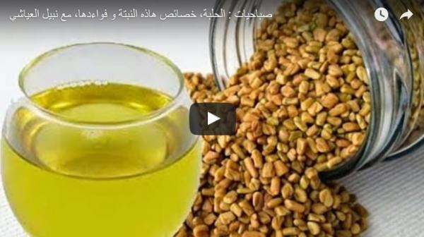 الحلبة، خصائص هذه النبتة و فوائدها