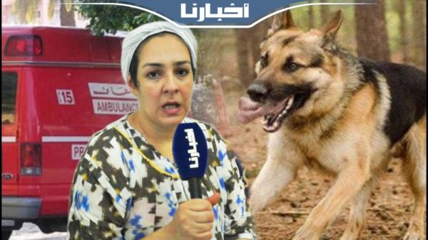 هجوم كلب مسعور يرسل طفلة وشقيقها إلى المستعجلات بوزان