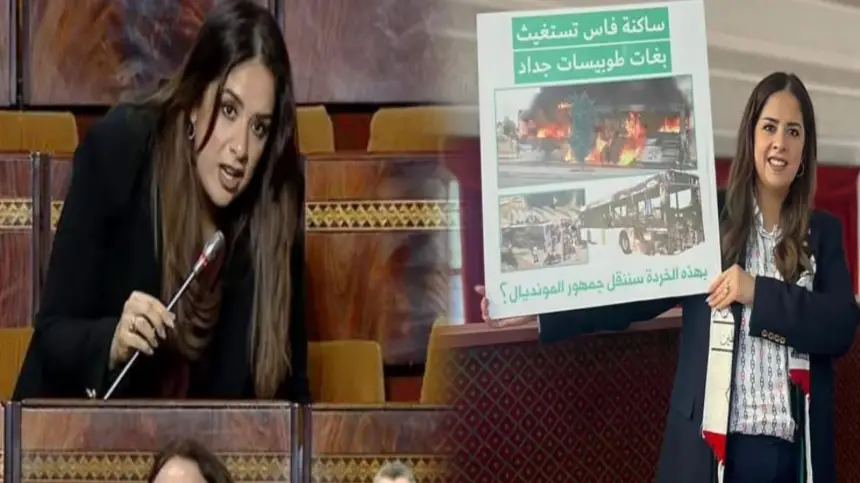 ريم شباط تستنكر حجب لوحتها في مجلس النواب وإحالتها على لجنة الأخلاقيات