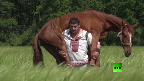 بالفيديو: "هيركوليس" أوكراني يحمل فرسا على كتفيه