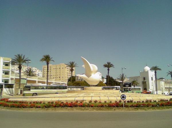 آلا يوجد من يوقف هذه المهزلة