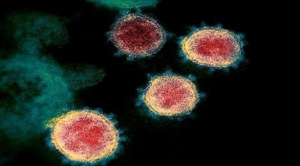 شركة أمريكية تدعي انتهاءها من تطوير لقاح لفيروس كورونا