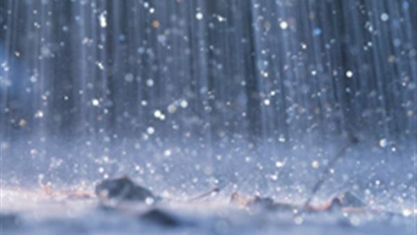 من أشراط الساعة .. كثرة المطر وقلة النبات