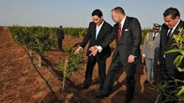 مخطط المغرب الأخضر ورهان تحقيق الأمن الغذائي