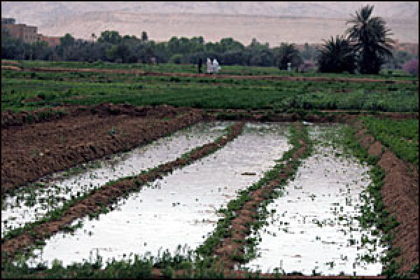 المغرب يواصل مساعيه في التنمية القروية