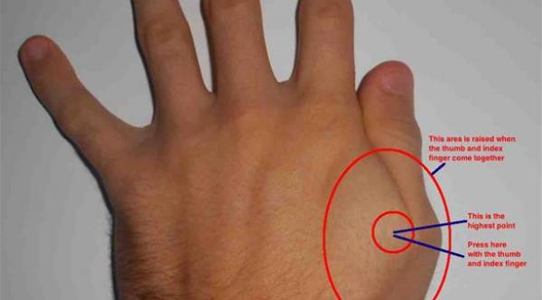 العلاجات البديلة: تغلب بنفسك على 6 مشاكل صحية دون أدوية