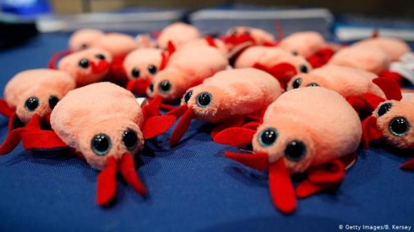 بق الفراش... كيف يمكن اكتشافه وما هي طريقة التخلص منه؟