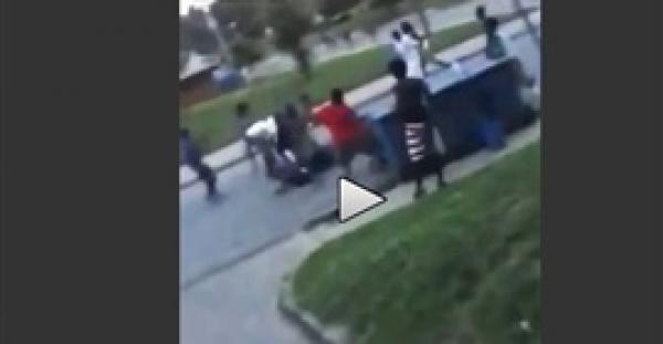 بالفيديو.. شاب ينهال على رأس زميله بالضرب مستخدما مجرفة الحديقة