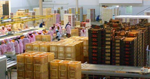 الاتحاد الأوروبي يحذف صادرات المغرب من “نظام الأفضلية المعمم”