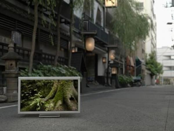 دليلك الأرشادي لشراء أفضل شاشة بلازما للعام 2012