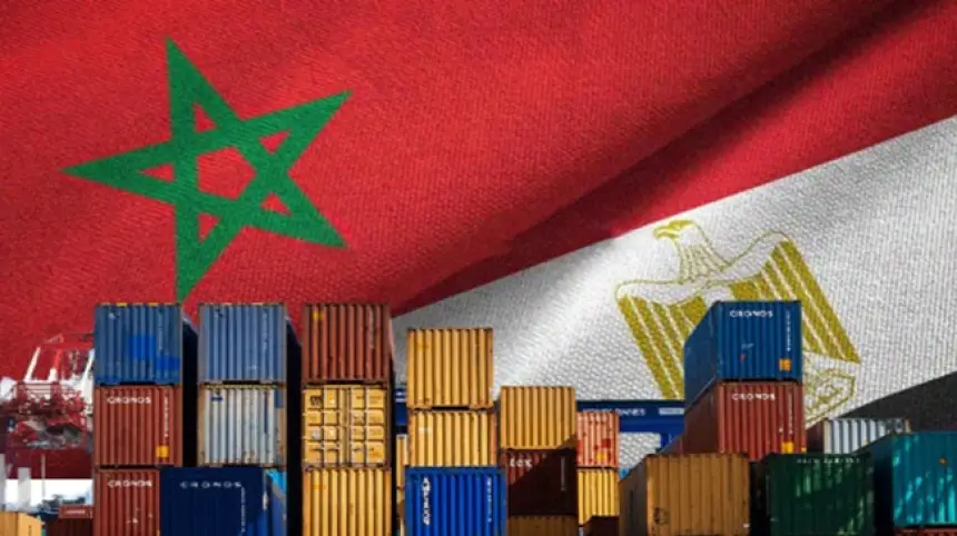 "بودرة" يكشف لـ"أخبارنا" خلفيات توتر العلاقات التجارية بين مصر والمغرب