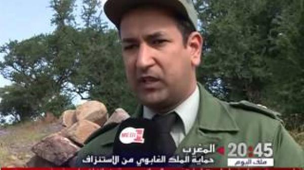 المغرب : حماية الملك الغابوي من الاستنزاف ودور حراس الغابة
