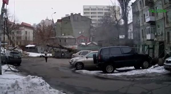 بالفيديو: ردة فعل أوكرانية على شجرة كادت تسحقها