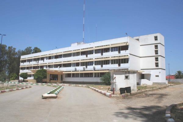 الصورة من الأرشيف