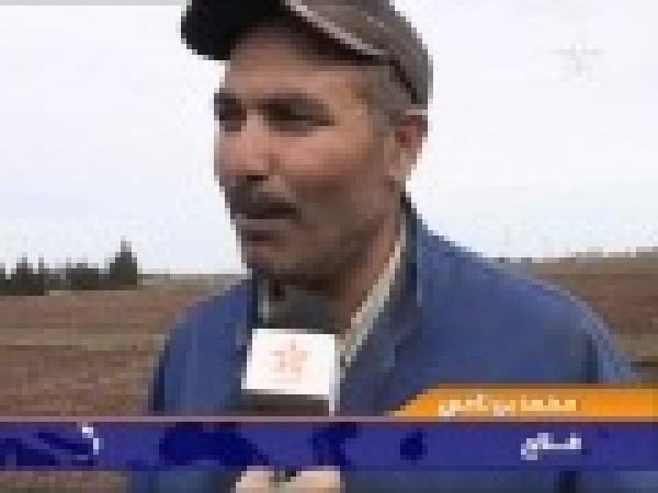 تساقطات مطرية وبداية موسم فلاحي جيد