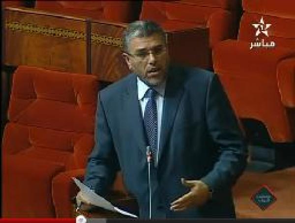 خديجة الروسى: حماية الاشخاص من الاختفاء القصري