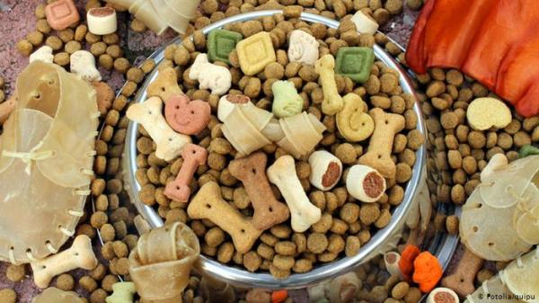 طعام الكلاب .. هل يصلح للاستهلاك الآدمي أم يؤدي إلى الموت؟