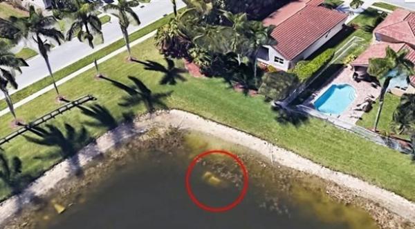 "غوغل إيرث" يقود إلى رفات مفقودمنذ 21 عاماً