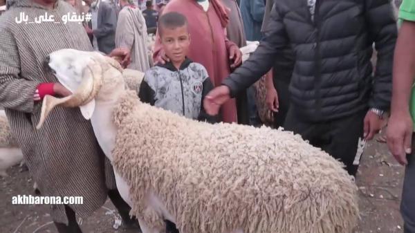 مول أكبر حولي في سوق سطات: عطاوني 92 ألف ريال وما بغيتش نبيعو و110 ألف وممقانعانيش!!