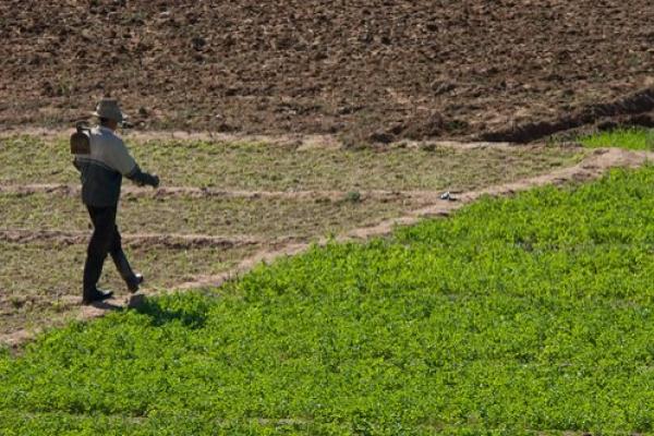 أجواء القلق تستبد بالفلاحين نتيجة تأخر التساقطات و استمرار موجة البرد  