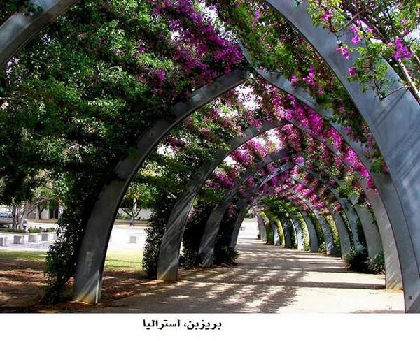 بالصور.. "القائمة السحرية" في العالم تخلب الألباب !