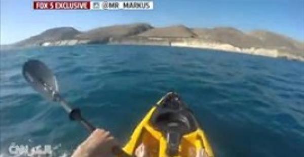 بالفيديو.. مواجهة شرسة بين قرش ضخم وشاب