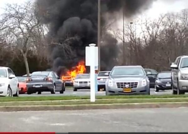 بالفيديو: أراد قتل الحشرات بالكحول..فأحرق سيارته المستأجرة