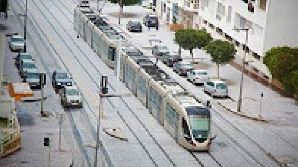 بالفيديو .. الرباط في حلة بيضاء بعد تساقط " التبروري "