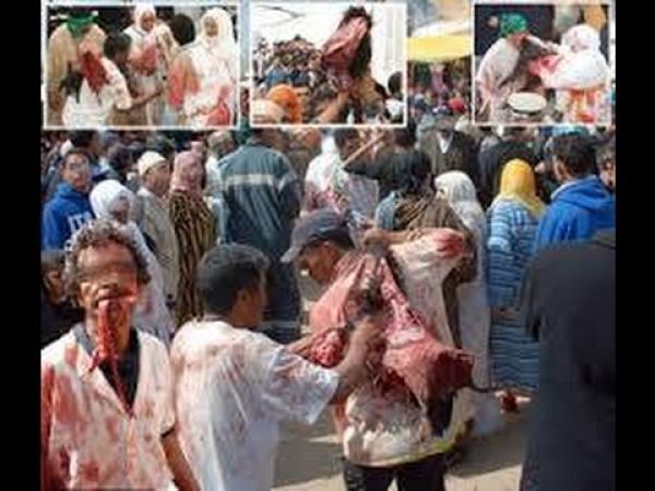 فيديو لمغاربة يحيون طقوس شعوذة وسحر بموسم مولاي ابراهيم تثير الاستغراب