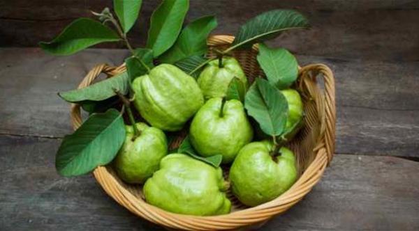 3 علاجات منزلية فعّالة لنزيف اللثة