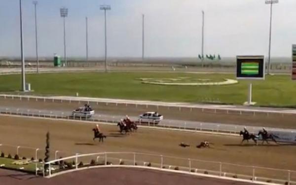 شاهد..سقوط رئيس تركمانستان من فوق حصانه