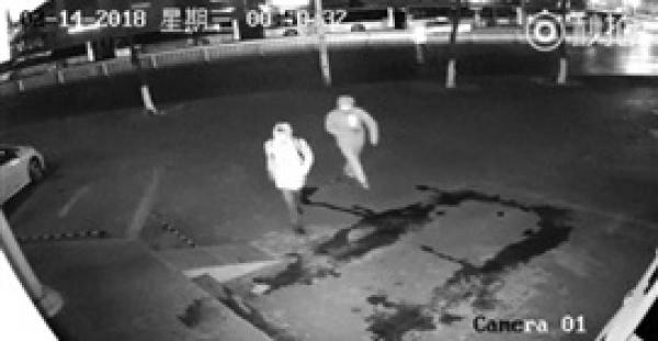 اغبى لصين على وجه الكوكب  (فيديو)