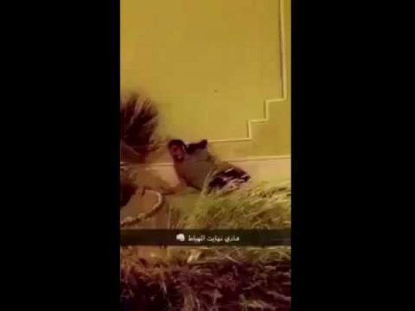 السعودية: الإطاحة بشاب تفاخر بتصوير اعتدائه على آخر