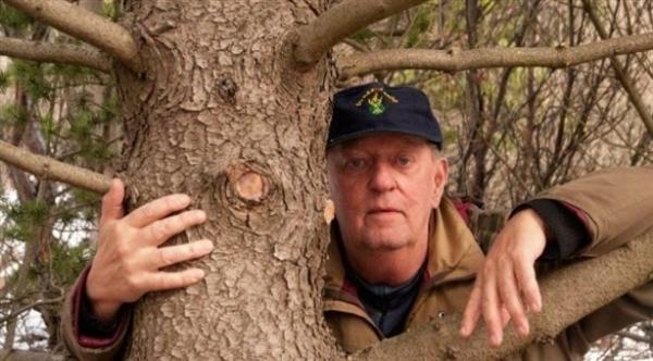 هيئة في أيسلندا تنصح المواطنين بالذهاب إلى الغابات وعناق شجرة