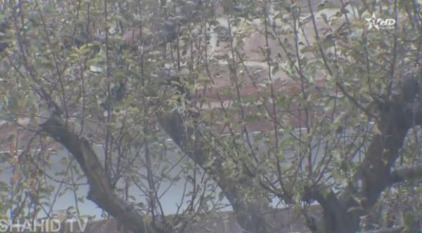 مقاييس تساقطات أمطار الخير بمناطق المملكة