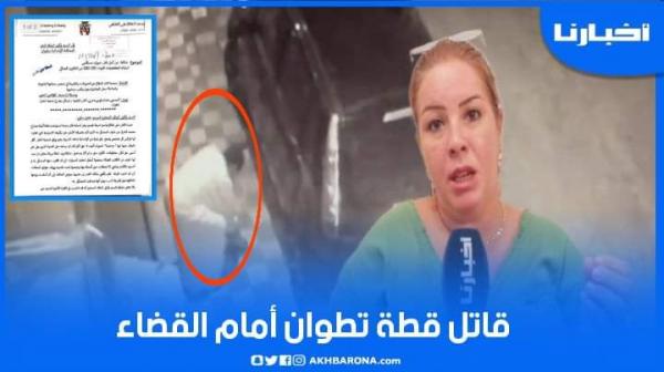 رئيسة جمعية لحقوق الحيوانات تُقاضي "قاتل قطة" بمدينة تطوان