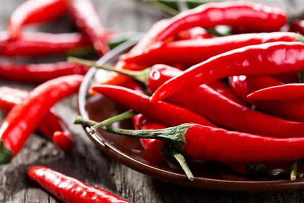 متى يصبح تناول الطعام الحار ضارا.. ومتى يكون مفيدا؟